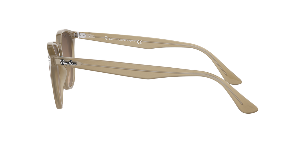 RB4259F - 616613 sunglasses - view 5