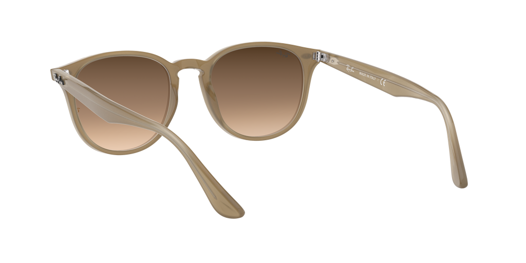 RB4259F - 616613 sunglasses - view 7