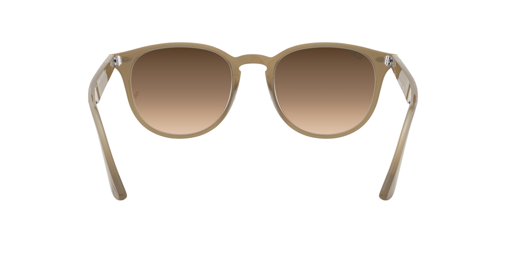 RB4259F - 616613 sunglasses - view 8