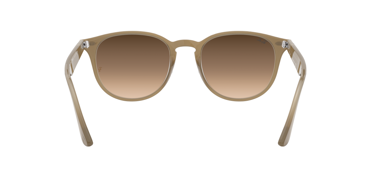 RB4259F - 616613 sunglasses - view 8