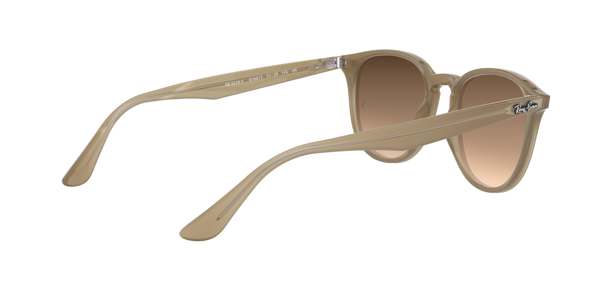 RB4259F - 616613 sunglasses - view 10