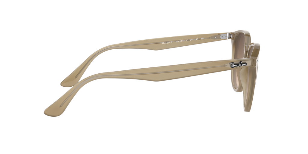 RB4259F - 616613 sunglasses - view 11