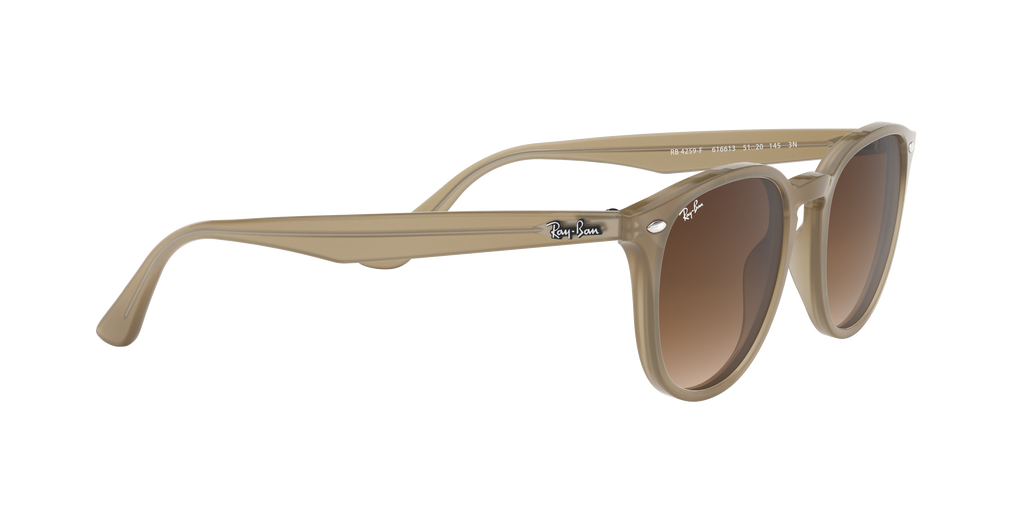 RB4259F - 616613 sunglasses - view 12