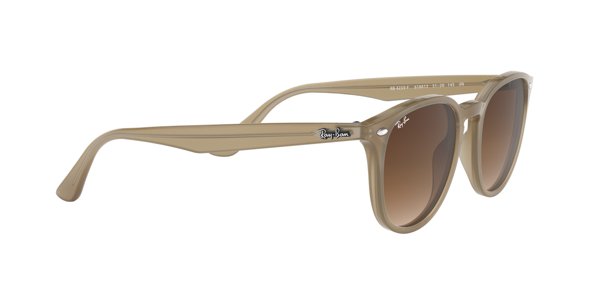 RB4259F - 616613 sunglasses - view 12