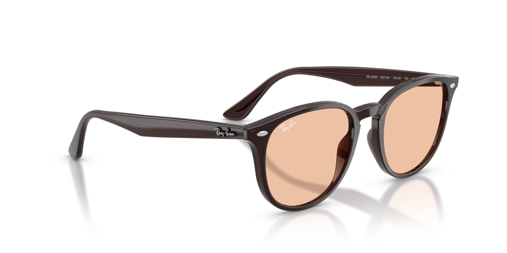 RB4259F - 623193 sunglasses - view 4