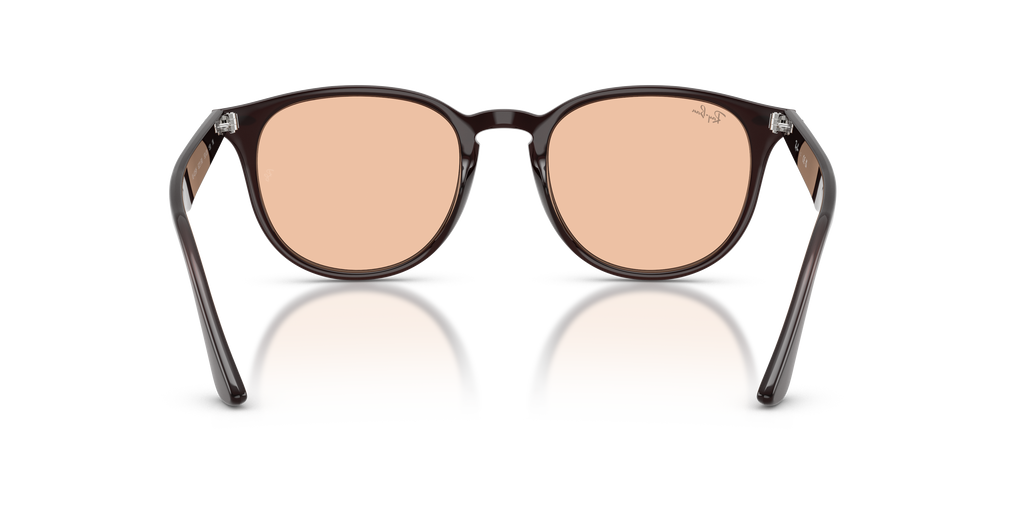 RB4259F - 623193 sunglasses - view 5
