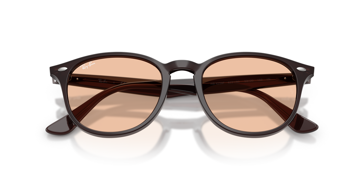 RB4259F - 623193 sunglasses - view 6