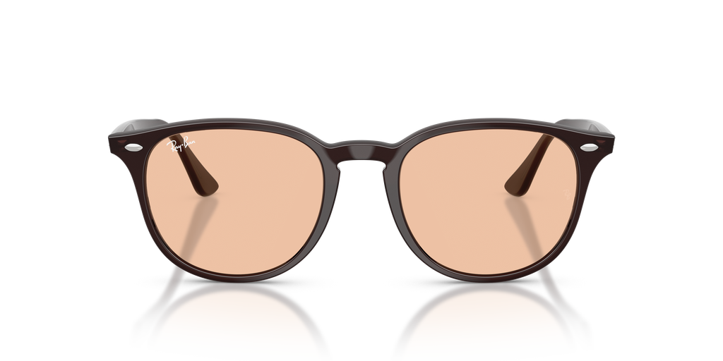 RB4259F - 623193 sunglasses - view 7