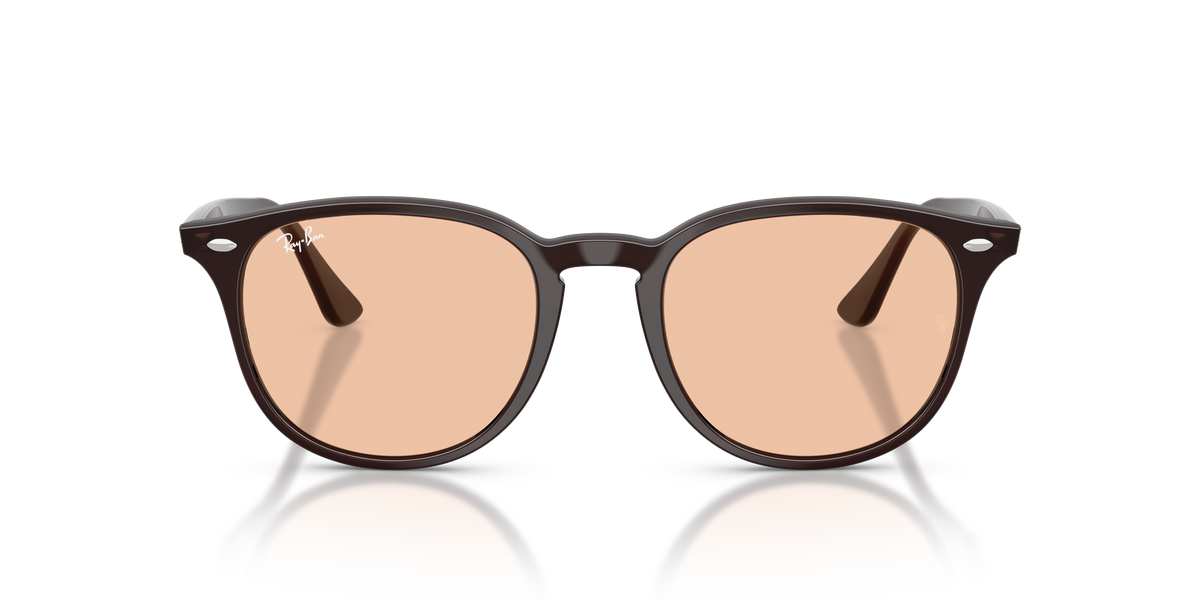 RB4259F - 623193 sunglasses - view 7