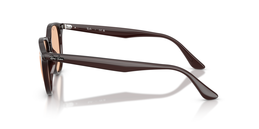 RB4259F - 623193 sunglasses - view 8