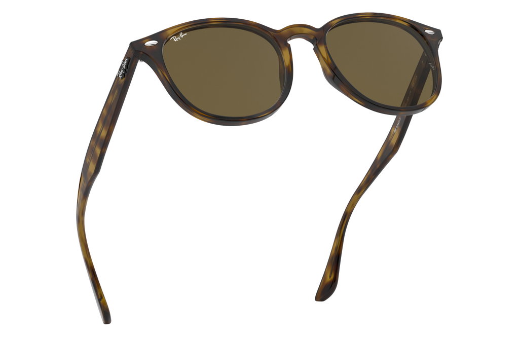 RB4259F - 71073 sunglasses - view 14