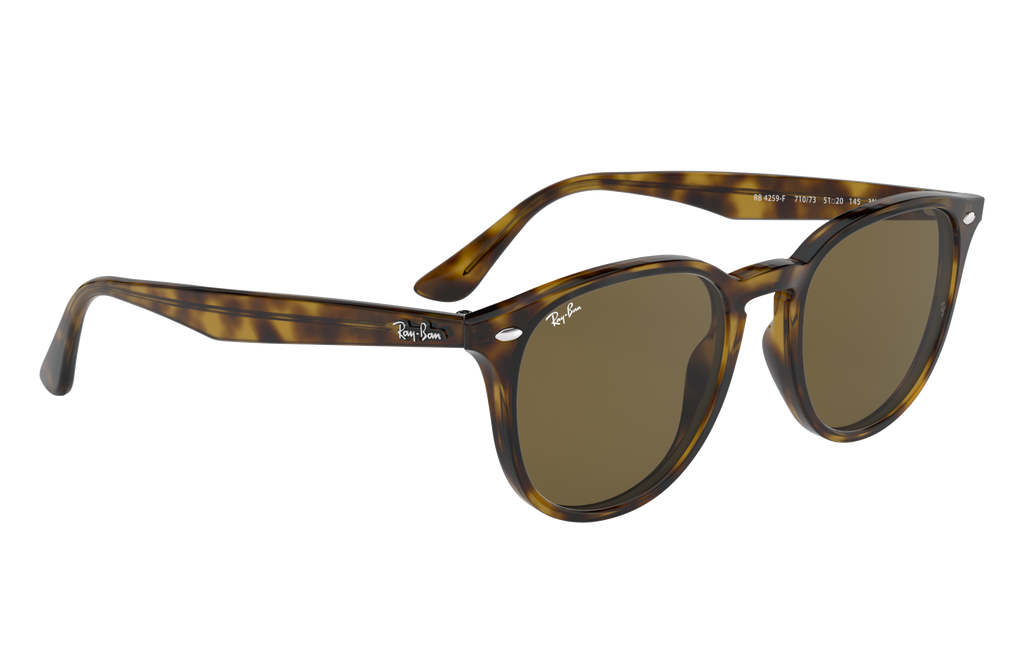 RB4259F - 71073 sunglasses - view 15