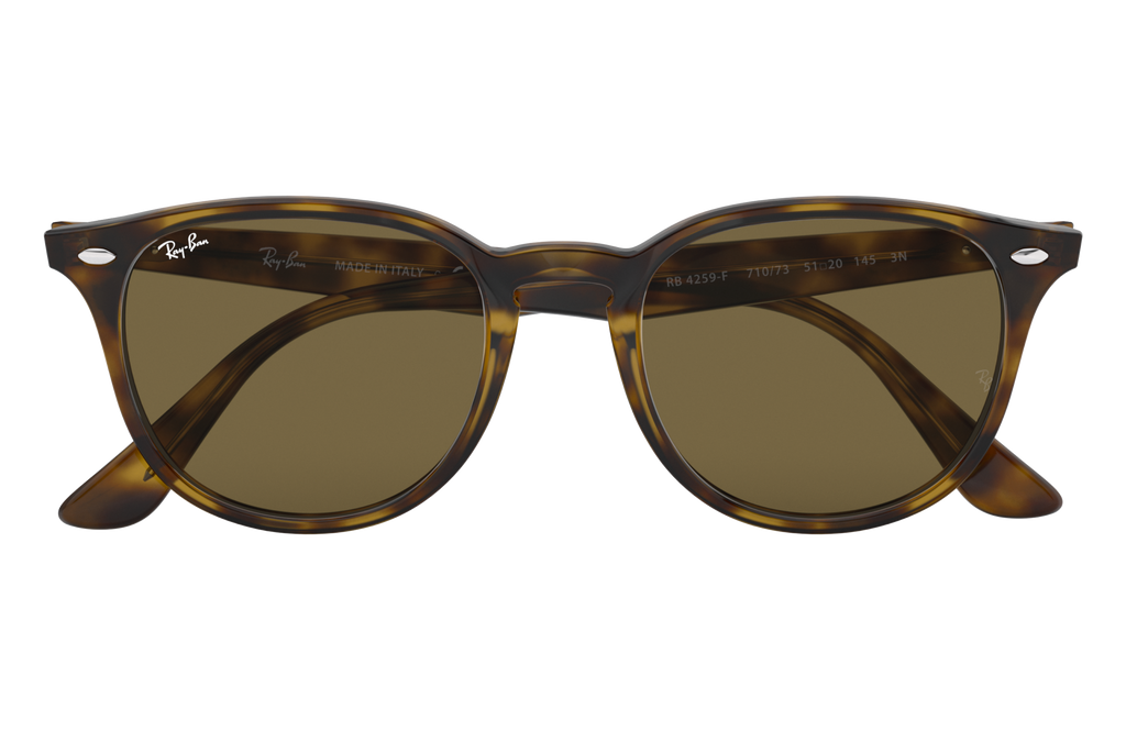 RB4259F - 71073 sunglasses - view 16