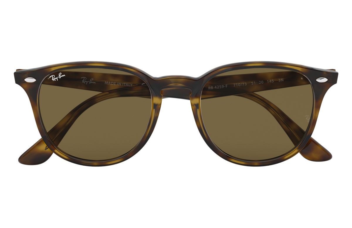 RB4259F - 71073 sunglasses - view 16
