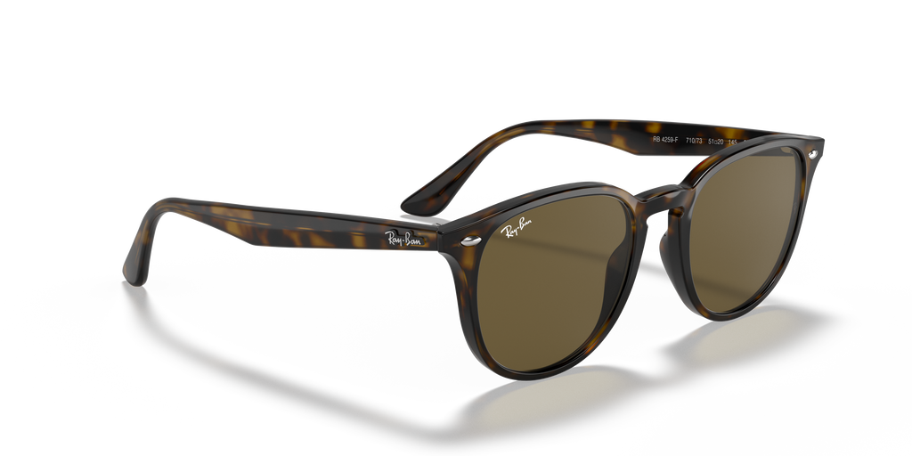 RB4259F - 71073 sunglasses - view 20
