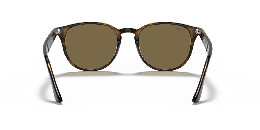 RB4259F - 71073 sunglasses - view 21