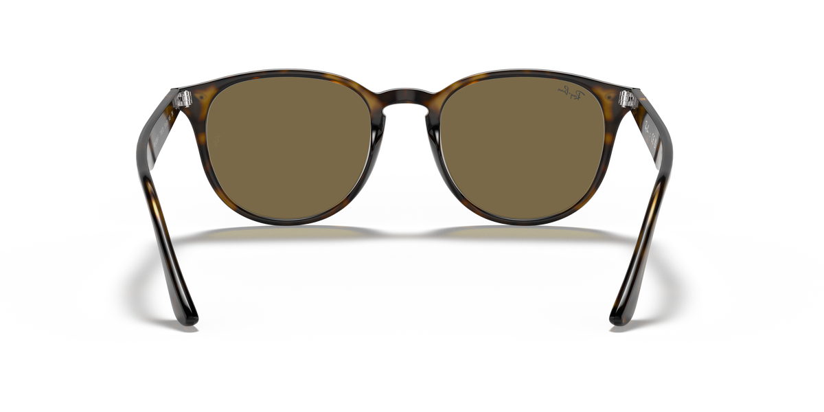 RB4259F - 71073 sunglasses - view 21