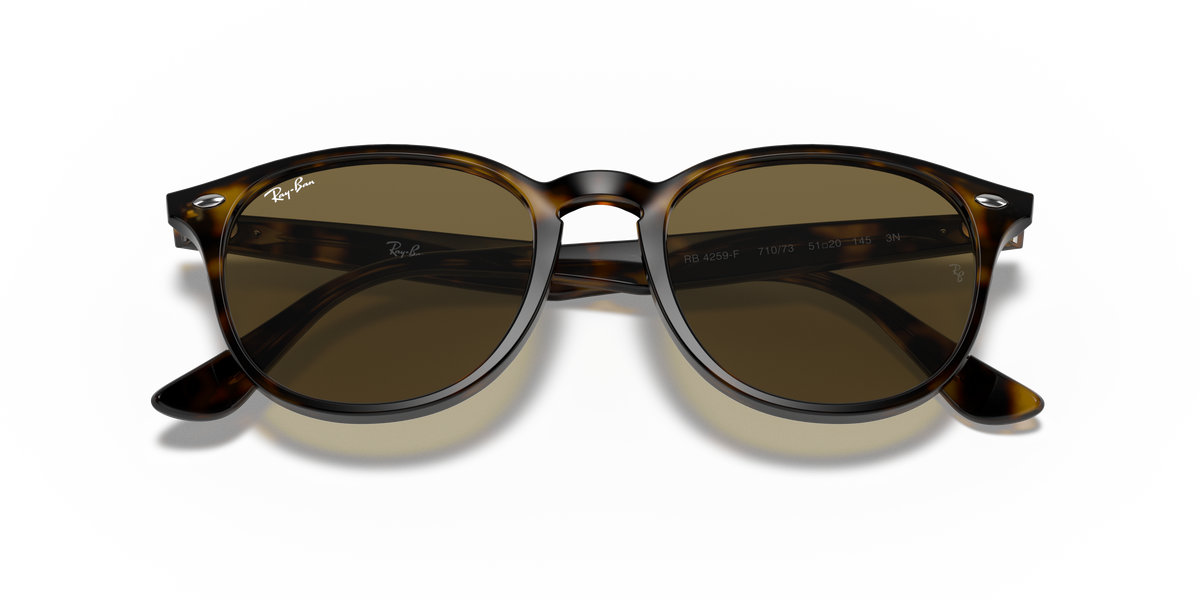 RB4259F - 71073 sunglasses - view 22