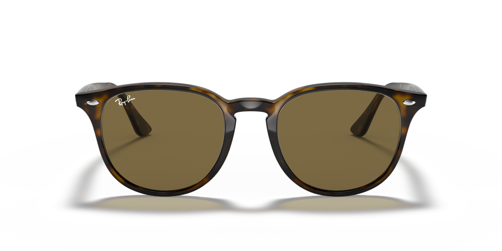RB4259F - 71073 sunglasses - view 23