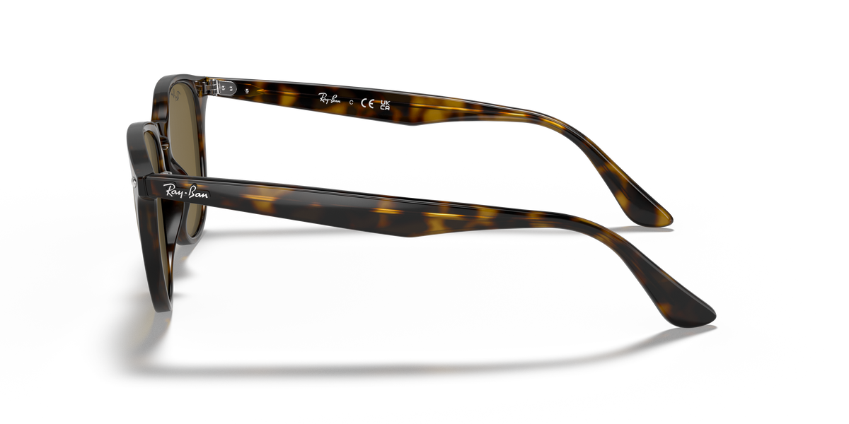 RB4259F - 71073 sunglasses - view 24