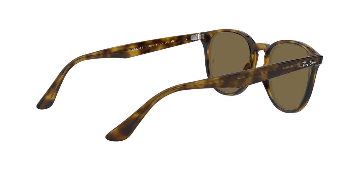 RB4259F - 71073 sunglasses - view 10