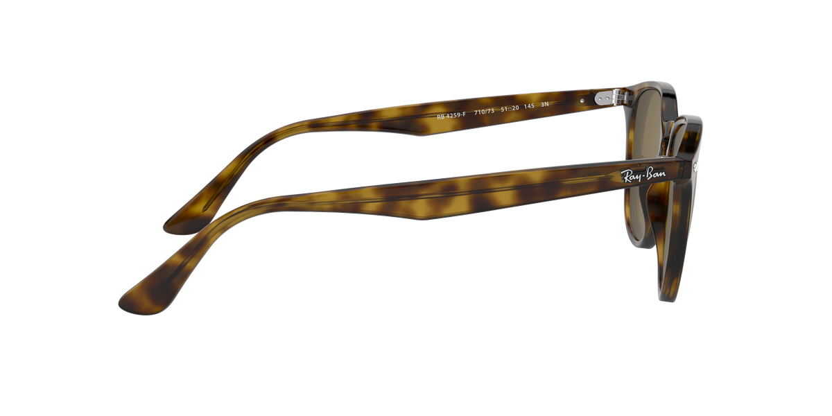 RB4259F - 71073 sunglasses - view 11