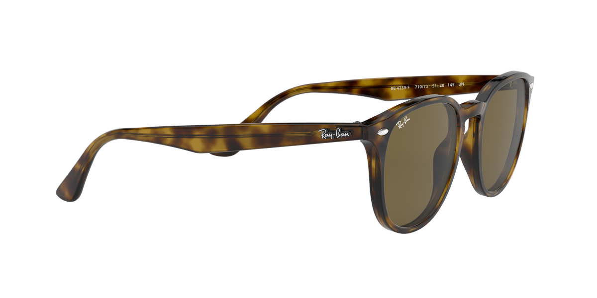 RB4259F - 71073 sunglasses - view 12
