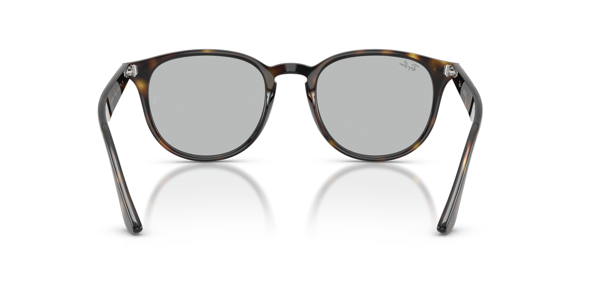 RB4259F - 71087 sunglasses - view 5