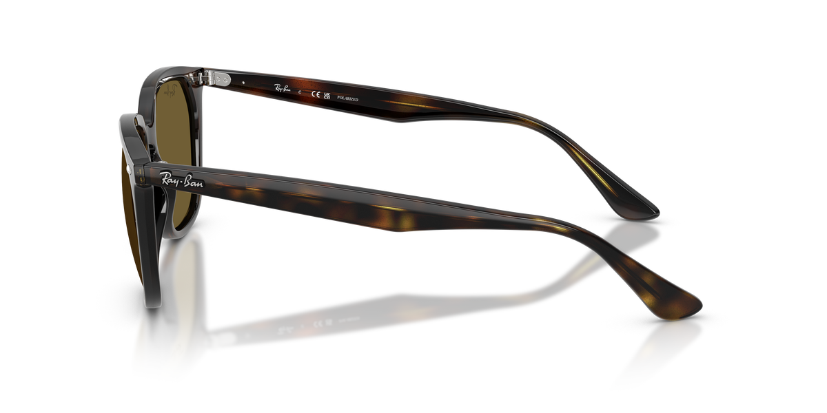 RB4362 - 71073 sunglasses - view 20