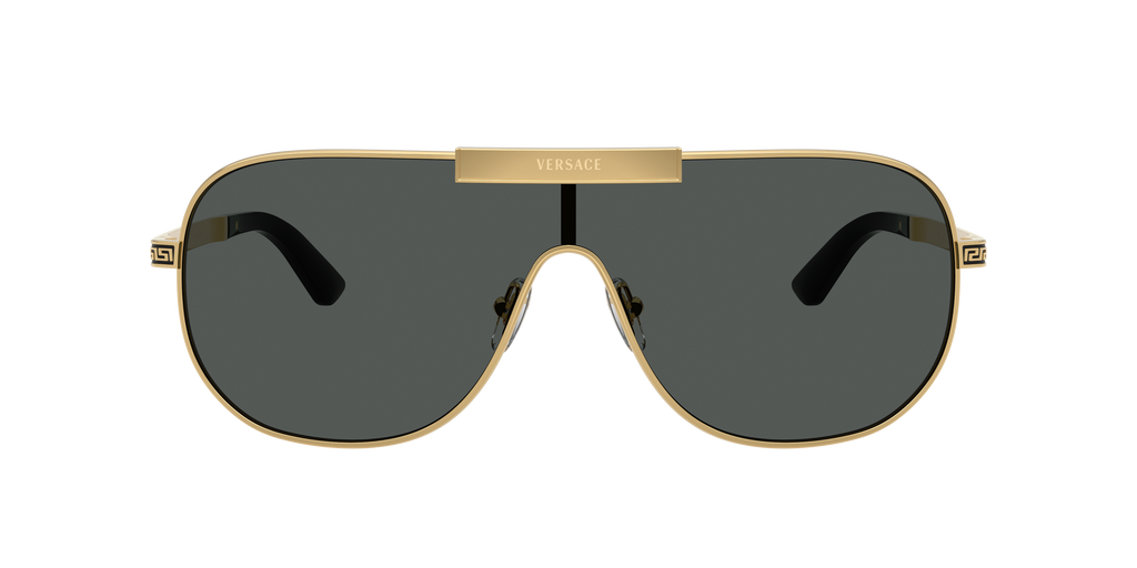 VE2293 - 100287 sunglasses - view 3