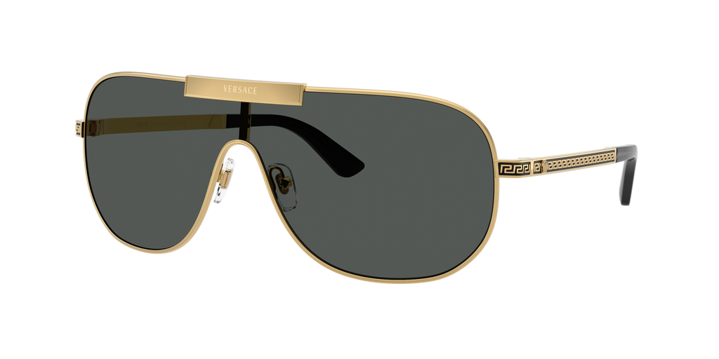 VE2293 - 100287 sunglasses - view 10