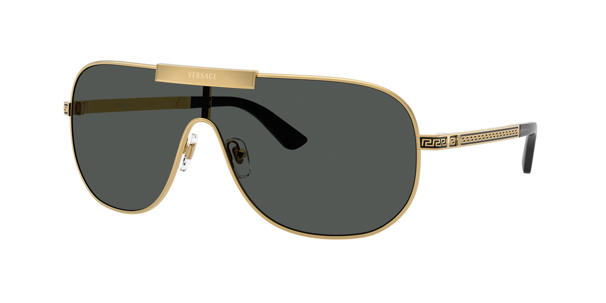 VE2293 - 100287 sunglasses - view 10