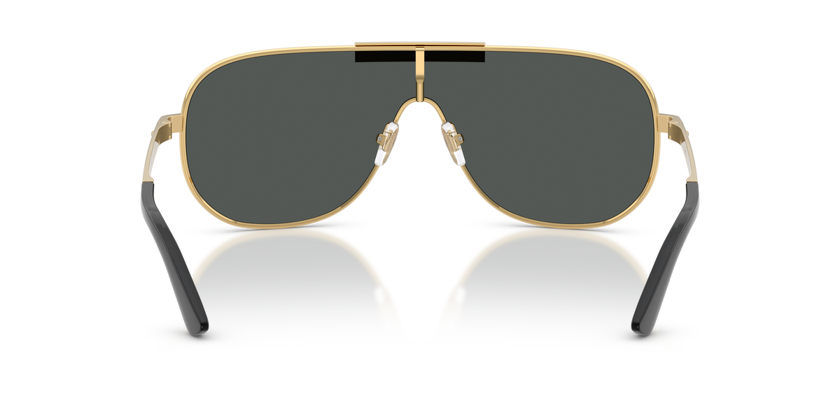VE2293 - 100287 sunglasses - view 4
