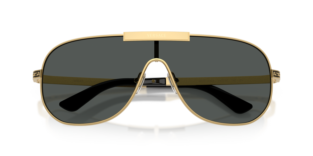 VE2293 - 100287 sunglasses - view 12
