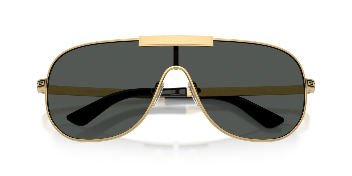 VE2293 - 100287 sunglasses - view 12