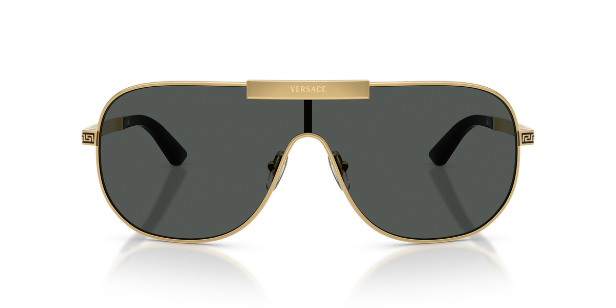 VE2293 - 100287 sunglasses - view 13