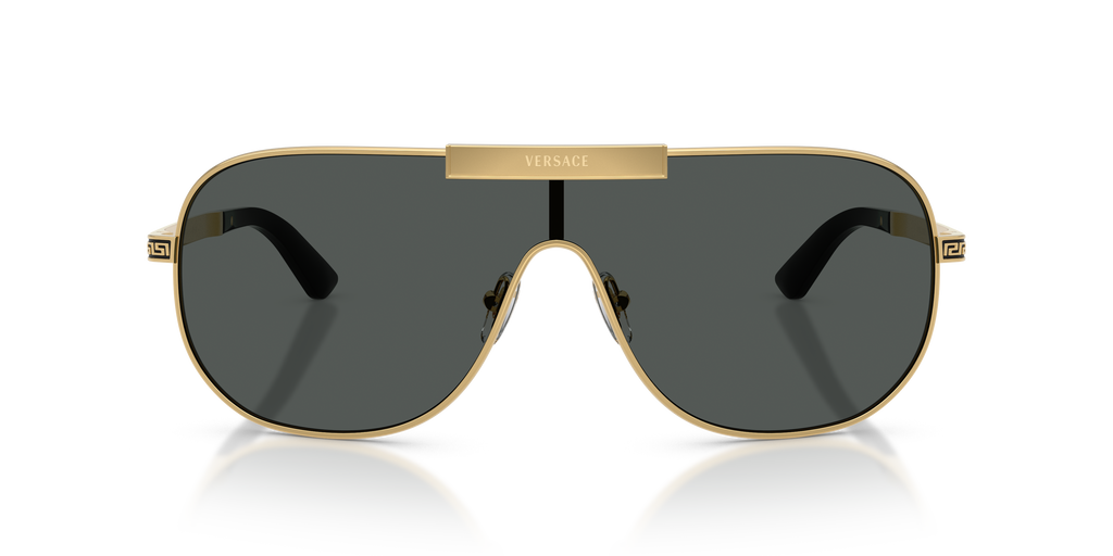 VE2293 - 100287 sunglasses - view 6