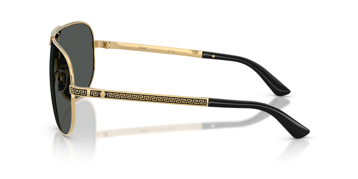 VE2293 - 100287 sunglasses - view 7