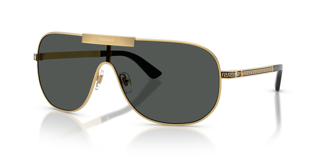 VE2293 - 100287 sunglasses - view 15