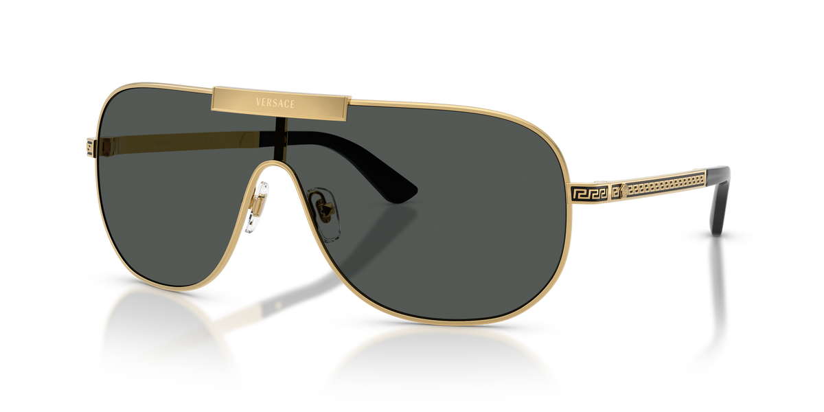 VE2293 - 100287 sunglasses - view 15