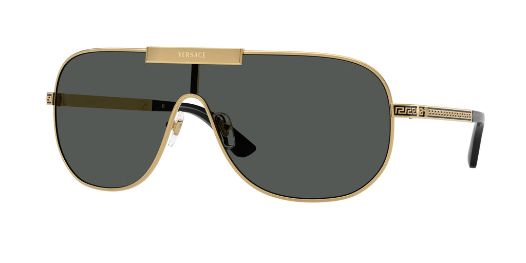 VE2293 - 100287 sunglasses - view 2