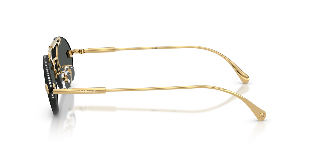 VE2295 - 100287 sunglasses - view 7