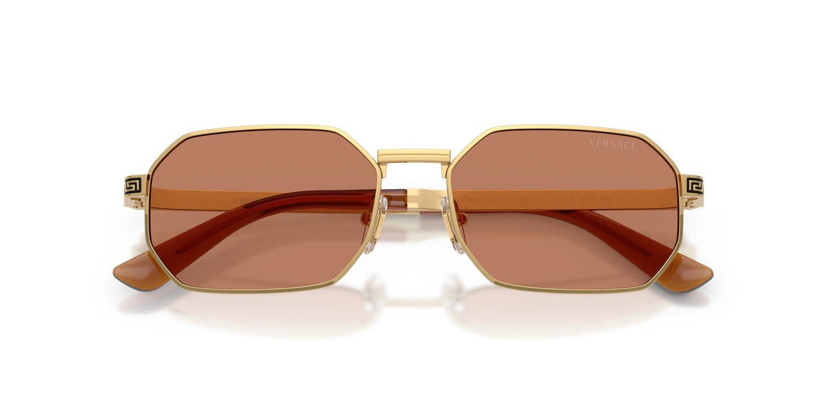 VE2297 - 100273 sunglasses - view 5