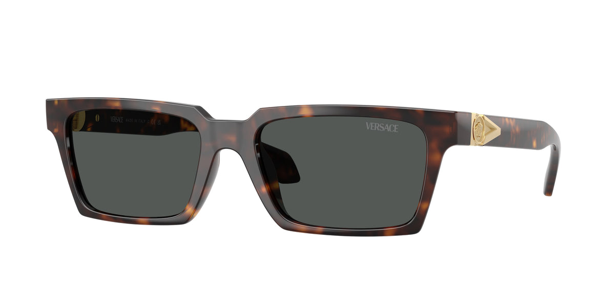 VE4490U - 10887 sunglasses - view 1