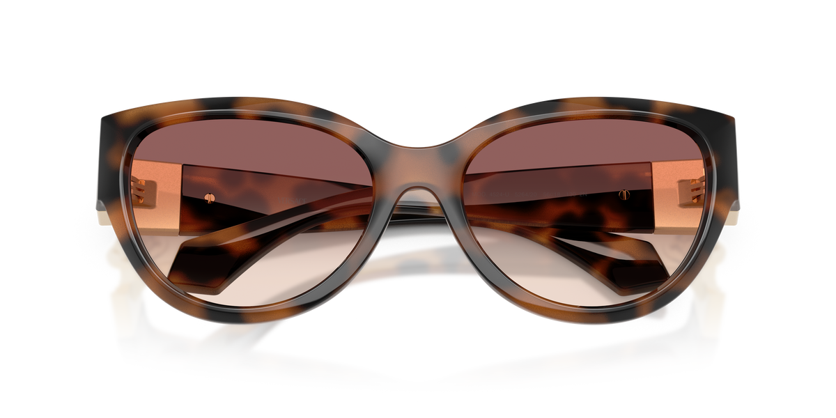 VE4524U - 526420 sunglasses - view 5